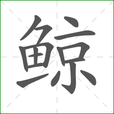 鲸的笔顺 鲸的笔顺