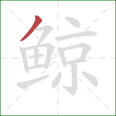 鲸的笔顺第1画:撇 鲸的笔顺第1画:撇