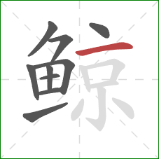 鲸的笔顺第10画:横 鲸的笔顺第10画:横