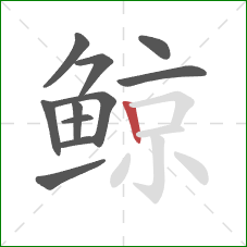 鲸的笔顺第11画:竖 鲸的笔顺第11画:竖