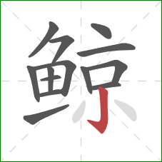 鲸的笔顺第14画:竖钩 鲸的笔顺第14画:竖钩