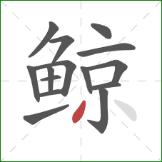 鲸的笔顺第15画:撇 鲸的笔顺第15画:撇