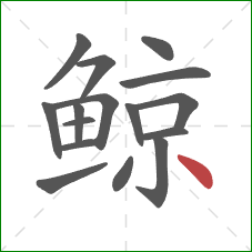 鲸的笔顺第16画:点 鲸的笔顺第16画:点