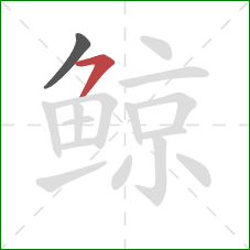 鲸的笔顺第2画:横钩 鲸的笔顺第2画:横钩