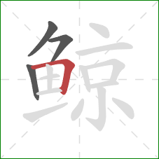 鲸的笔顺第4画:横折 鲸的笔顺第4画:横折