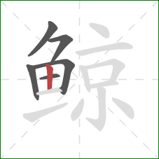 鲸的笔顺第6画:竖 鲸的笔顺第6画:竖