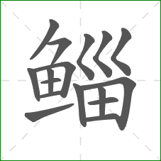 鲻的笔顺