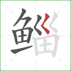 鲻的笔顺第10画：撇点