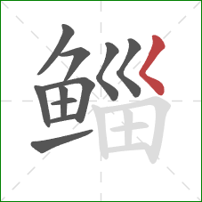 鲻的笔顺第11画：撇点