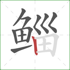 鲻的笔顺第12画：竖