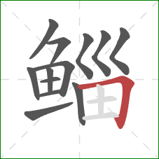 鲻的笔顺第13画：横折
