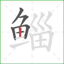 鲻的笔顺第6画：竖