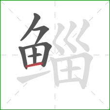 鲻的笔顺第7画：横