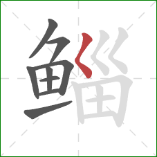 鲻的笔顺第9画：撇点