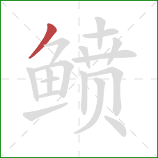 鲼的笔顺第1画：撇