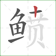 鲼的笔顺第10画：竖