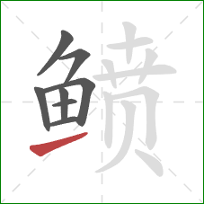 鲼的笔顺第8画：提