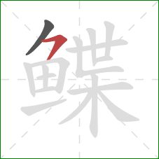 鲽的笔顺第2画：横撇