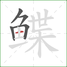 鲽的笔顺第5画：横