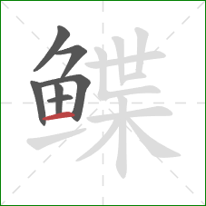 鲽的笔顺第7画：横