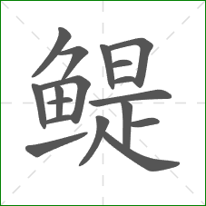 鳀的笔顺