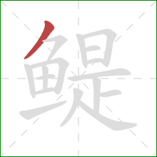 鳀的笔顺第1画：撇