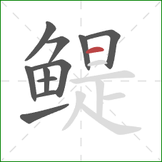 鳀的笔顺第11画：横