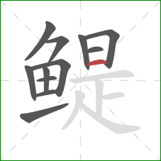 鳀的笔顺第12画：横