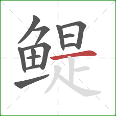 鳀的笔顺第13画：横