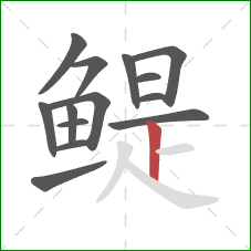 鳀的笔顺第14画：竖