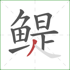 鳀的笔顺第16画：撇