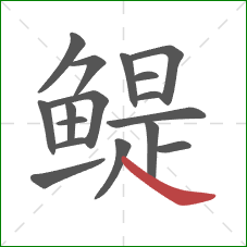 鳀的笔顺第17画：捺