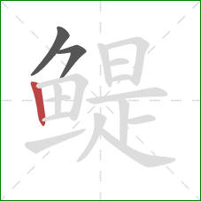 鳀的笔顺第3画：竖