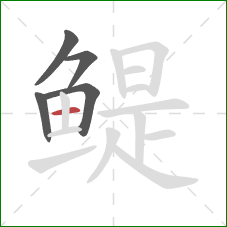 鳀的笔顺第5画：横