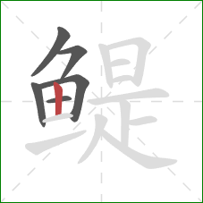 鳀的笔顺第6画：竖