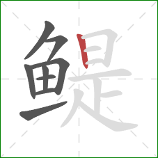 鳀的笔顺第9画：竖