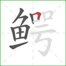 鳄的笔顺第10画：横折