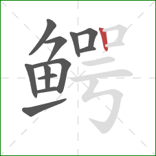 鳄的笔顺第12画：竖