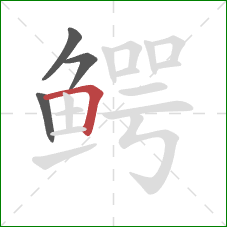 鳄的笔顺第4画：横折