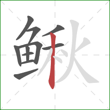 鳅的笔顺第11画：竖