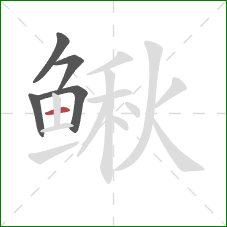 鳅的笔顺第5画：横