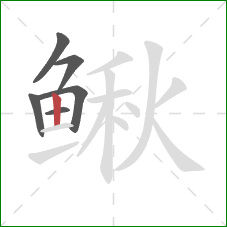 鳅的笔顺第6画：竖