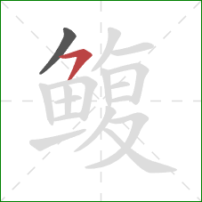 鳆的笔顺第2画：横撇