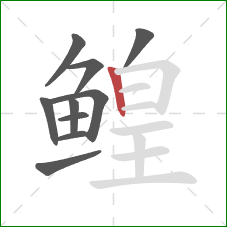 鳇的笔顺第10画：竖