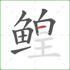 鳇的笔顺第12画：横