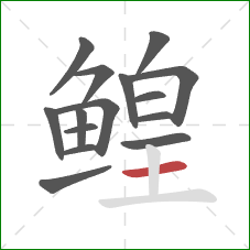 鳇的笔顺第15画：横