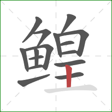 鳇的笔顺第16画：竖
