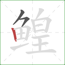 鳇的笔顺第3画：竖