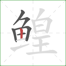 鳇的笔顺第6画：竖