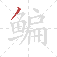 鳊的笔顺第1画：撇